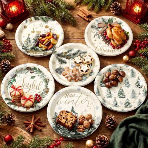 Rtteri 100 Pcs Christmas Paper Plates Disposable 9 Inch Winter Dinner Plate - Image 2