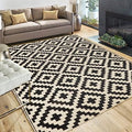 SAND MINE Reversible Mats, Plastic Straw Rug, Modern Area Rug, Large Floor Mat and Rug for Outdoors, RV, Patio, Deck, Beach, Camping (Black & Beige Lattice, 4' x 6', -3% to 5% Size Variance) by SANDMIND