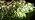 LETMY Solar Spot Lights Outdoor Waterproof IP65, 104 LEDs Outdoor Lights, 2-in-1 Auto On/Off Solar Powered Spotlights, Outdoor Solar Lights for Yard, Garden, Pathway & Wall, 4 Pack, Cool White - Image 7
