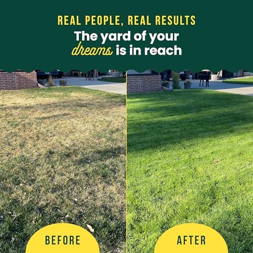 Sunday Granular Lawn Fertilizer, 2-Step Green-Up Kit, Covers 4,000 sq ft - Image 6