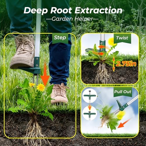 Walensee Weed Puller, Stand Up Weeder Hand Tool, Long Handle Garden Weeding Tool with 3 Claws, Hand Weed Hound Weed Puller for Dandelion, Standup Weed Root Pulling Tool and Picker, Grabber (1 Pack) - Image 3