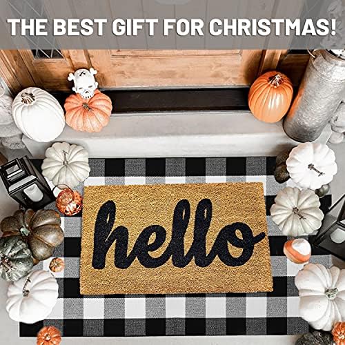 IOHOUZE 3x5 Buffalo Plaid Outdoor Rug, Washable Front Porch, Black White - Image 2