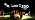 Enbrighten Classic Outdoor String Lights, 48ft, 24 Bulbs, White Light Only - Image 7