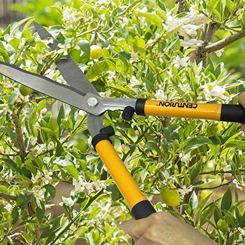 Centurion 1222 3-Piece Lopper, Hedge Shear & Pruner Combo Set, Heavy Duty Tree, Shrub & Bush Care Kit for Lawn, Garden & Yard, Ideal for Indoor & Outdoor Gardening, Branch Cutting & Plant Trimming - Image 6