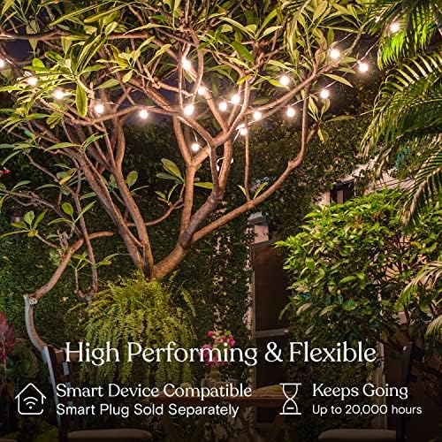 Brightech Ambience Pro LED String Lights - 26 Ft Patio Lights Outdoor Waterproof - Globe Porch String Lights for Outside, Christmas, Backyard - 12 Bulbs, 1W Vintage Edison, Warm White Black - Image 3