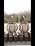 Solar Powered Outdoor Lantern, Rope Woven, 14x15.5 cm, Set of 2 - Image 7