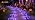 GIGALUMI Solar Halloween Lights Outdoor Waterproof 20-Pack Halloween Decor - Image 7
