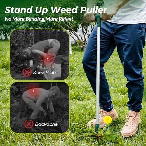 Walensee Weed Puller, Stand Up Weeder Hand Tool, Long Handle Garden Weeding Tool with 3 Claws, Hand Weed Hound Weed Puller for Dandelion, Standup Weed Root Pulling Tool and Picker, Grabber (1 Pack) - Image 4