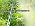 Thiswing 360° Adjustable Drip Irrigation System with 16 Nozzles - Image 7