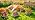 Solar Turtle Garden Statue Outdoor Decor, Sunflower with 7 LED Lights - Image 7