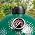 Upgrade Replacement Thermometer for Big Green Egg,3.3" Grill Temperature Gauge for Big Green Egg Accessories 150-900°F with Waterproof and No-Fog Glass Lens - Image 7